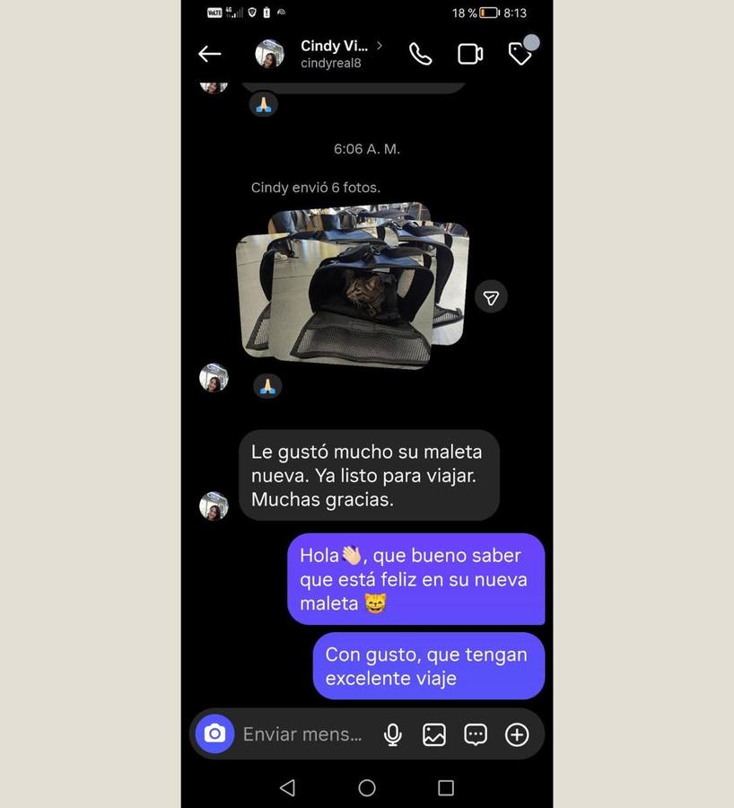 Testimonio real de cliente que viajó con su mascota en Avianca