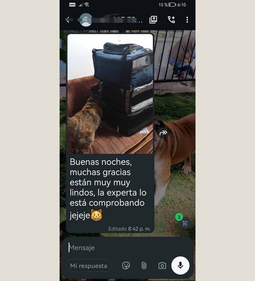 Testimonio real de cliente que viajó con su mascota en Iberia